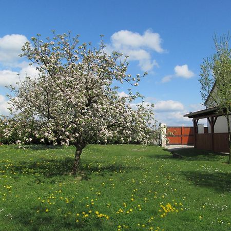 Pension Otevek Trhové Sviny Esterno foto