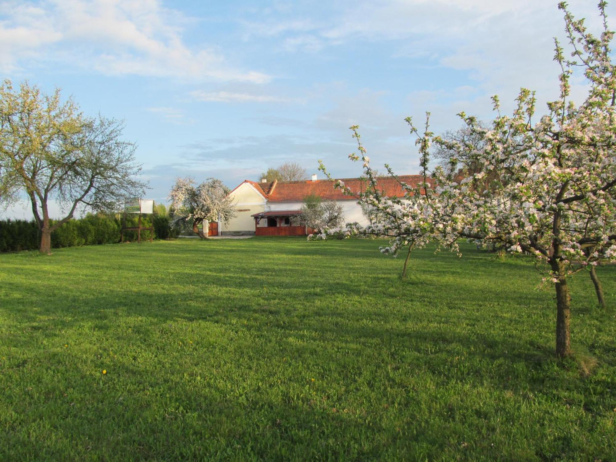 Pension Otevek Trhové Sviny Esterno foto