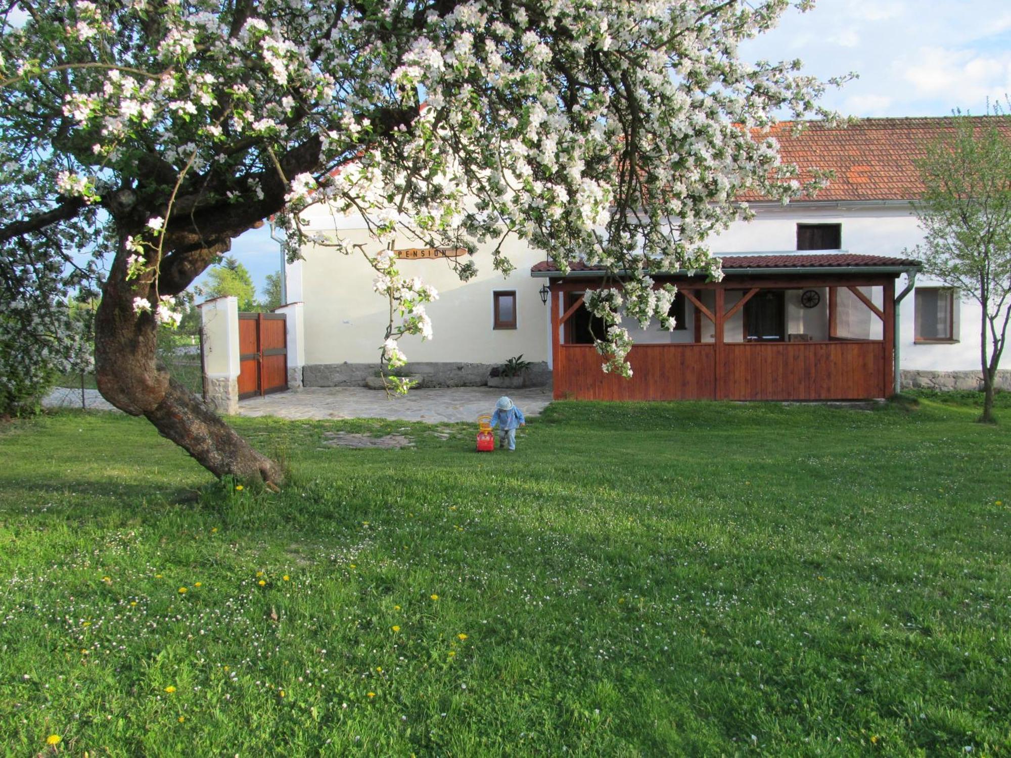 Pension Otevek Trhové Sviny Esterno foto