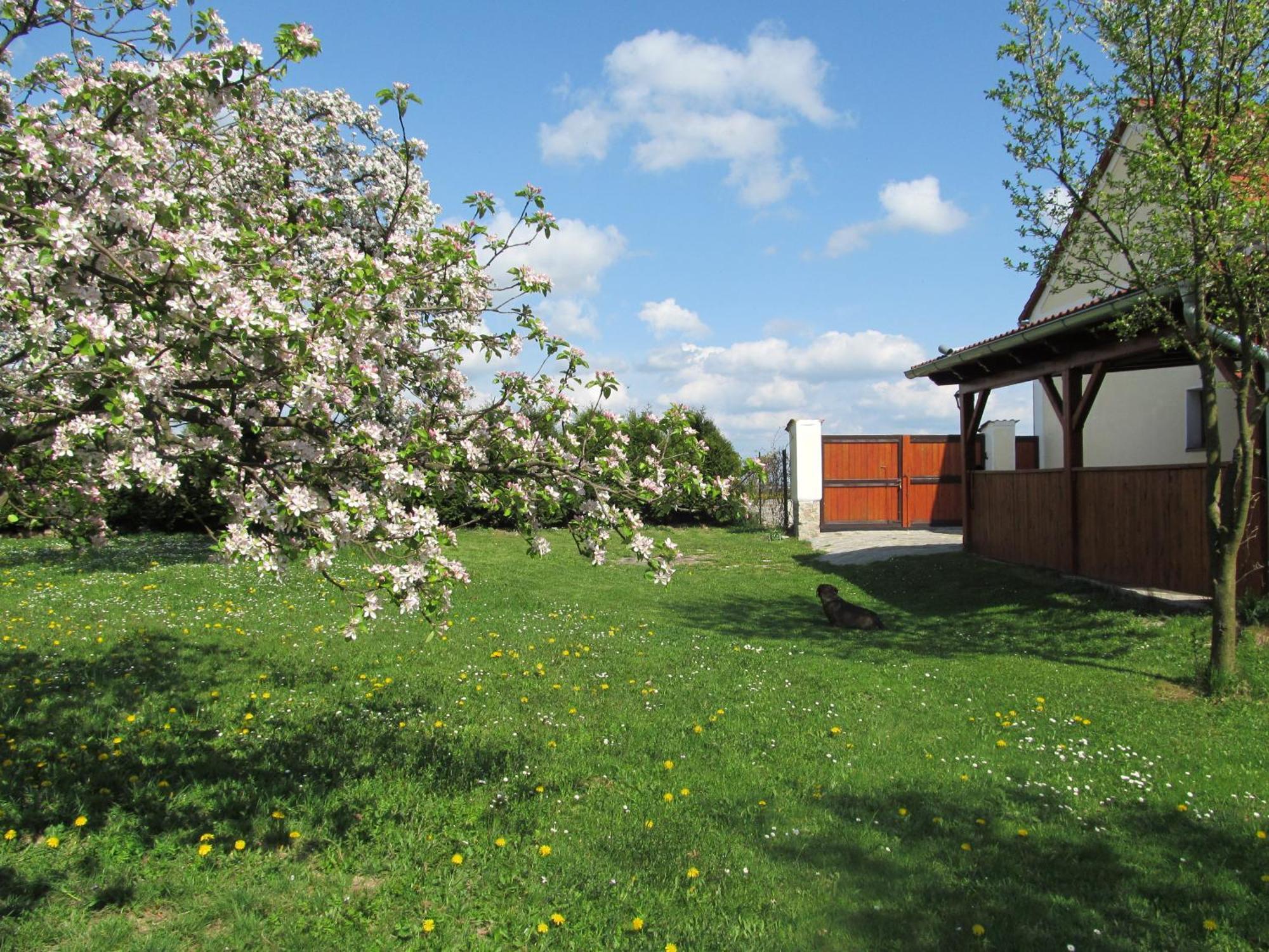 Pension Otevek Trhové Sviny Esterno foto